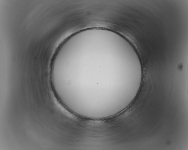 X0000112521135200909071327