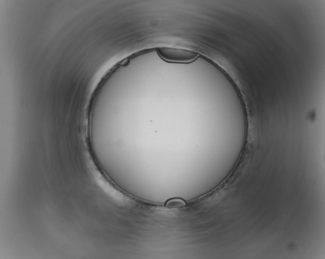 X0000112521136200909071327