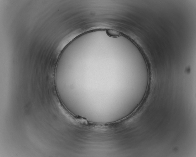 X0000112521137200909071327