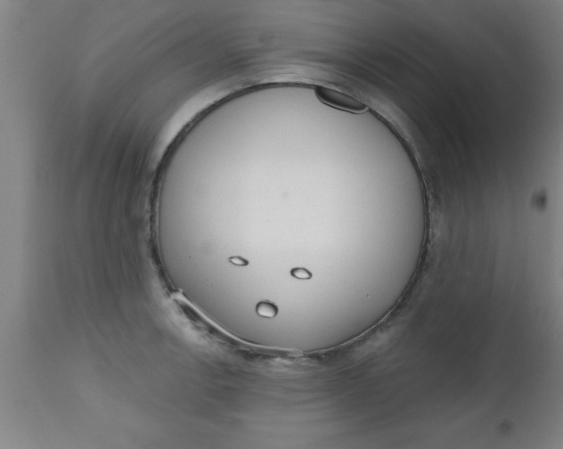 X0000112521138200909071327