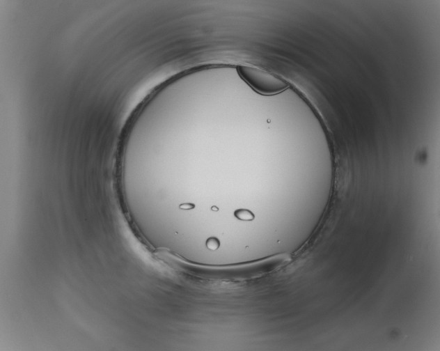 X0000112521139200909071327