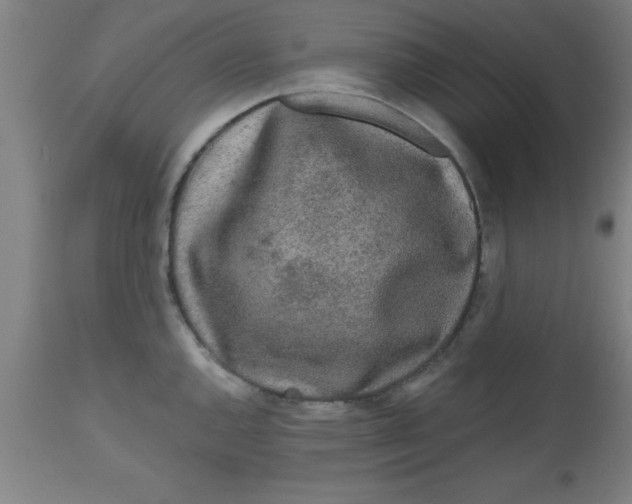 X0000112521144200909071327