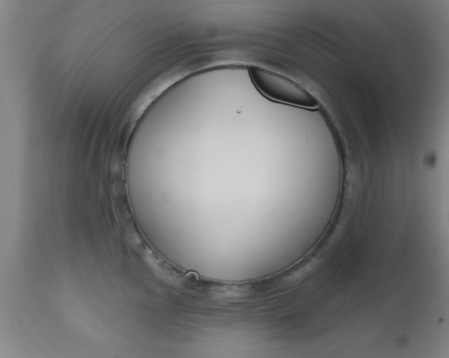 X0000112521145200909071327