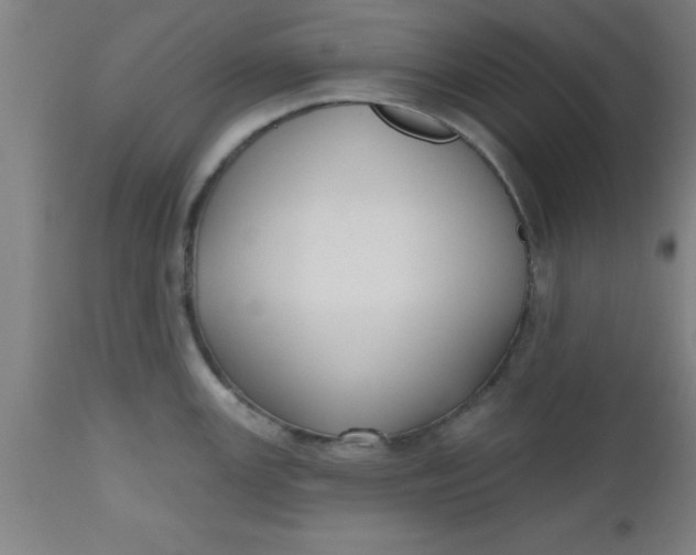 X0000112521147200909071327