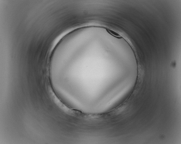 X0000112521148200909071327