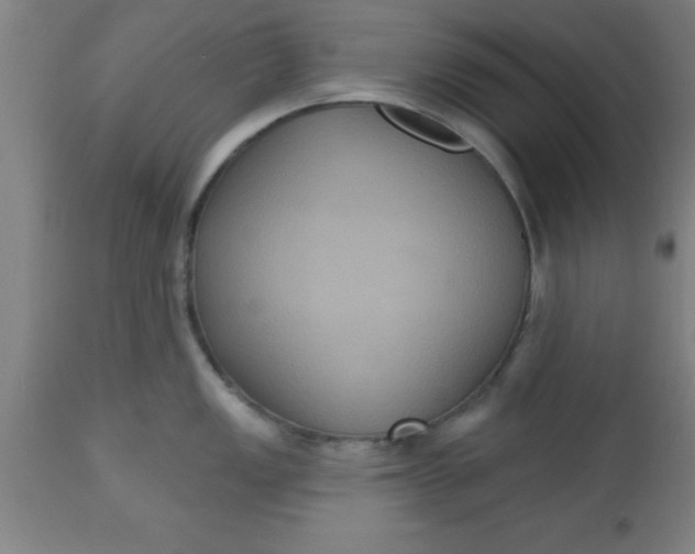 X0000112521149200909071327
