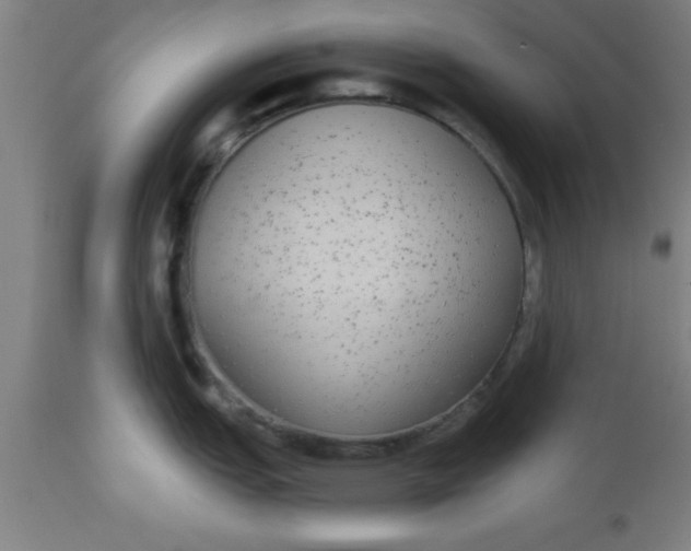 X0000112521151200909071327