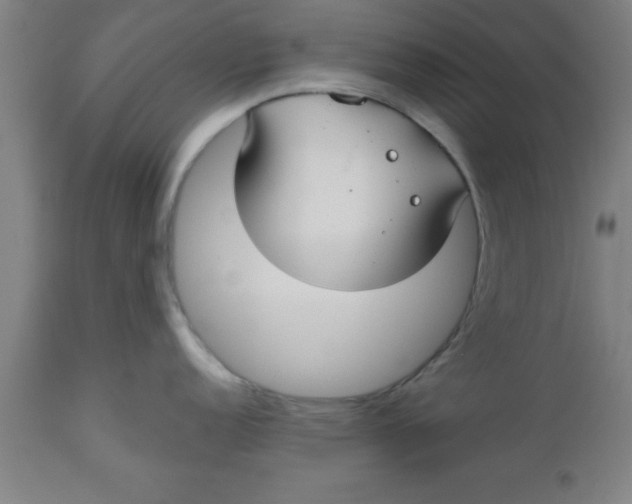 X0000112521152200909071327