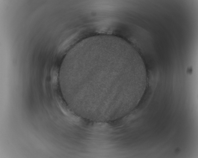 X0000112521154200909071326