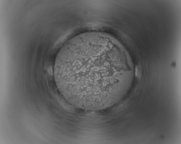 X0000112521155200909071326