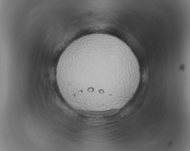 X0000112521156200909071326