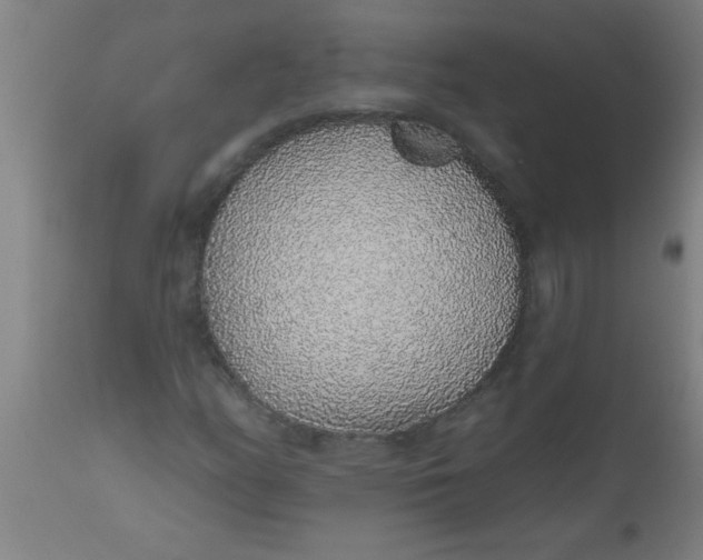 X0000112521158200909071326