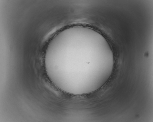 X0000112521159200909071326