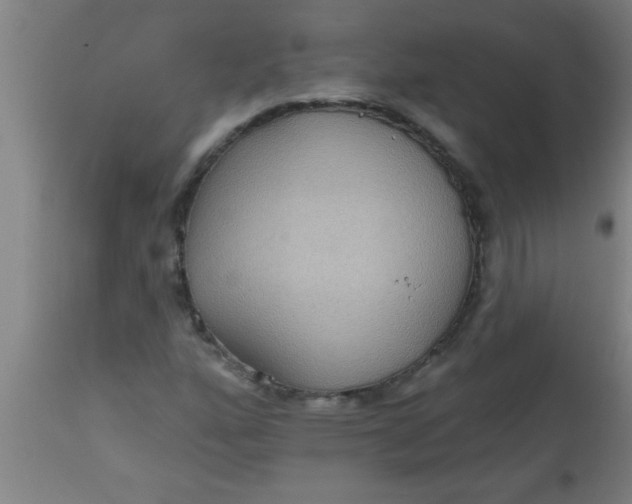 X0000112521160200909071326