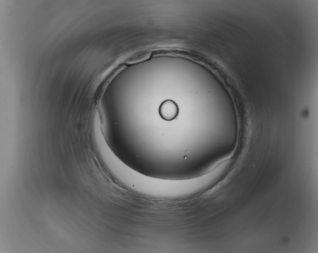 X0000112521162200909071326