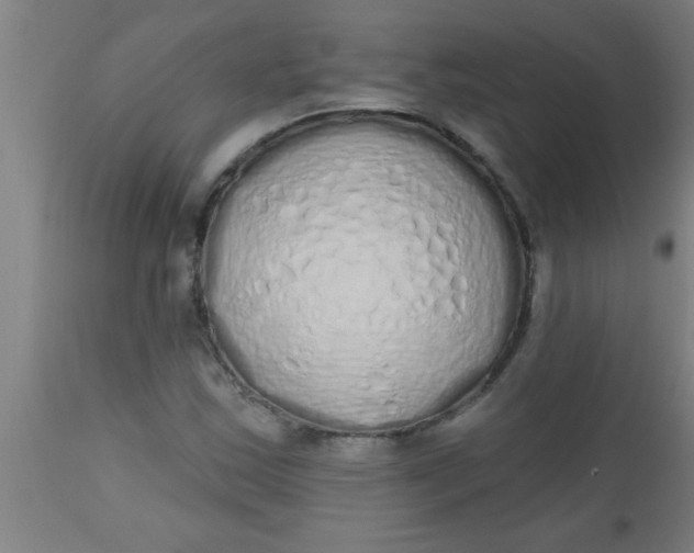 X0000112521163200909071326