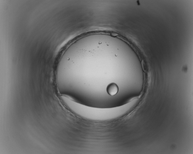 X0000112521165200909071326