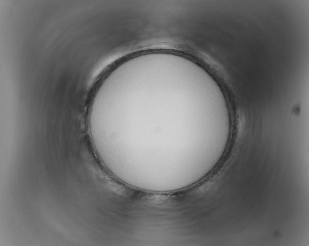 X0000112521166200909071326