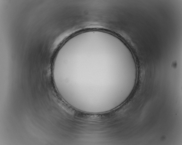 X0000112521167200909071326