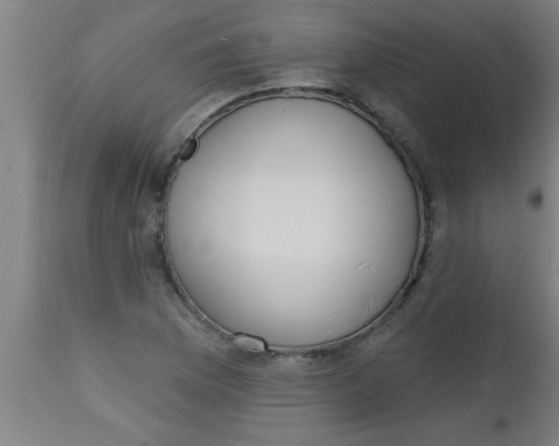 X0000112521169200909071326