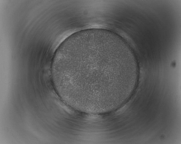 X0000112521170200909071326