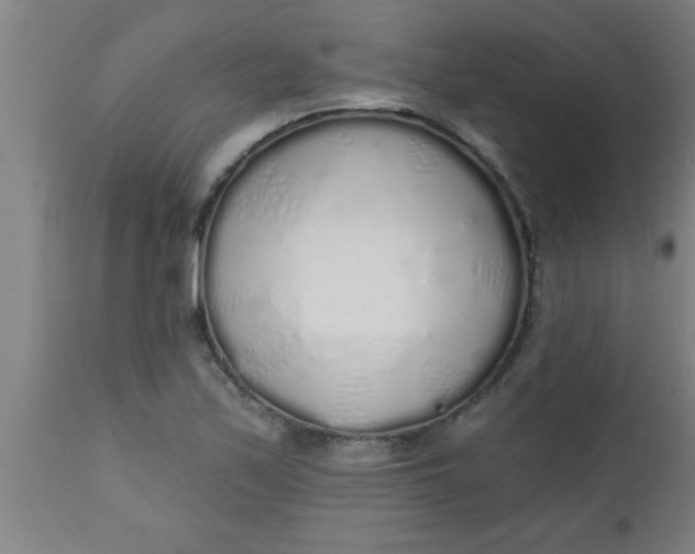 X0000112521171200909071326