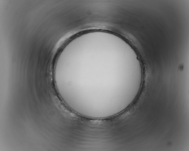 X0000112521172200909071326