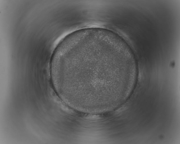 X0000112521174200909071326