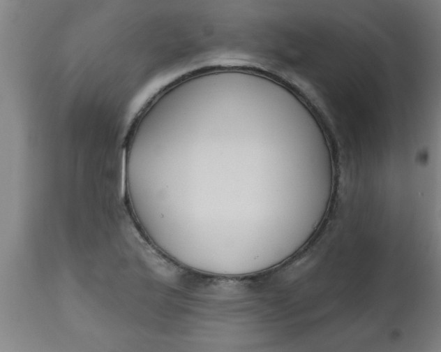 X0000112521175200909071326