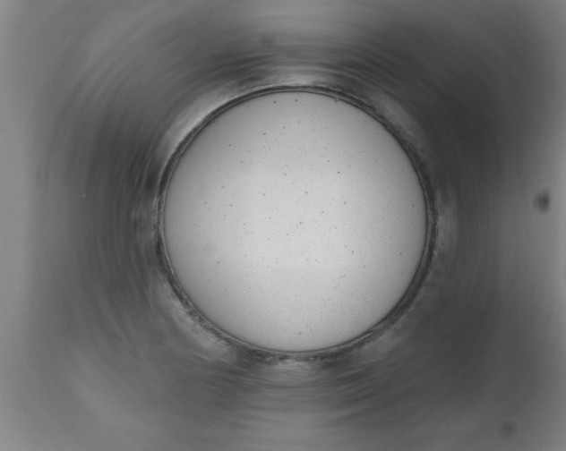 X0000112521178200909071326