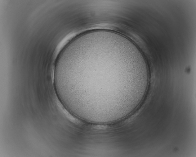 X0000112521180200909071326