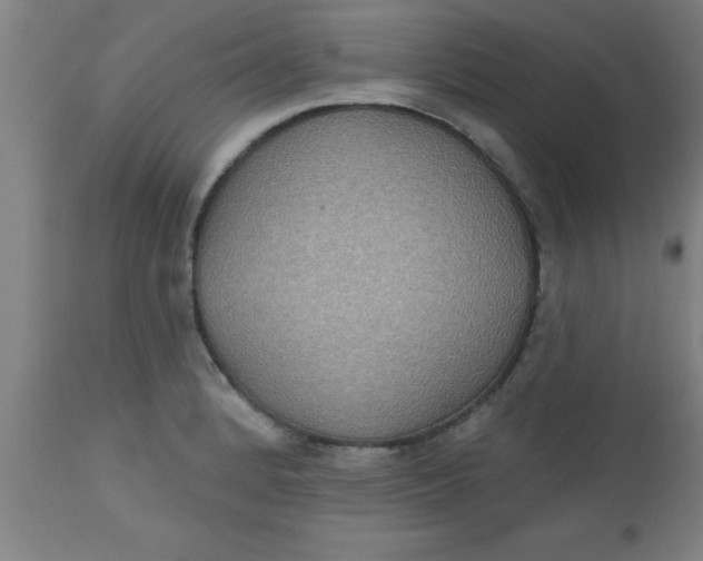 X0000112521184200909071326