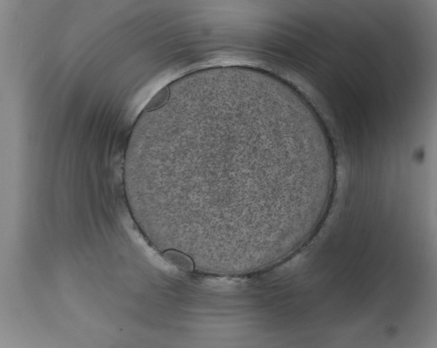 X0000112521185200909071326