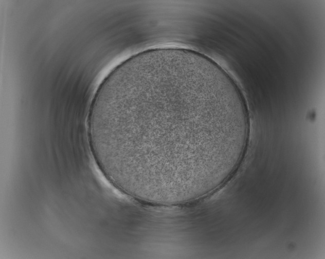 X0000112521189200909071326