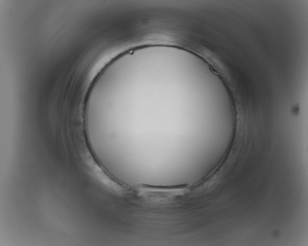 X0000112521192200909071326