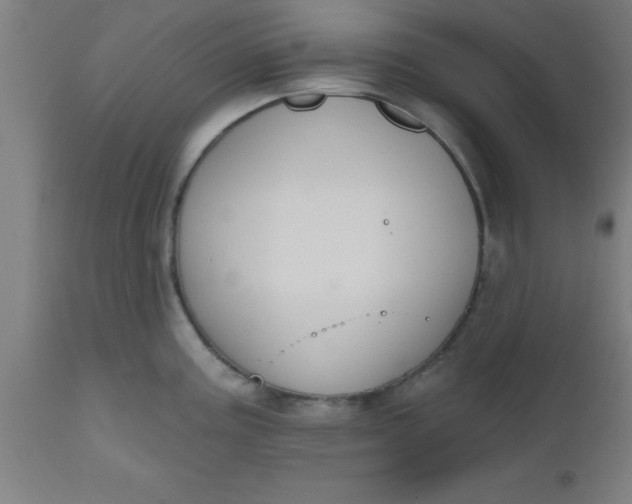 X0000112521195200909071326