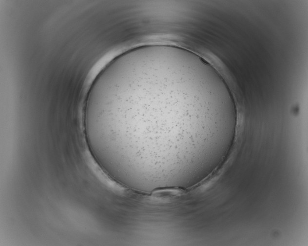 X0000112521196200909071326