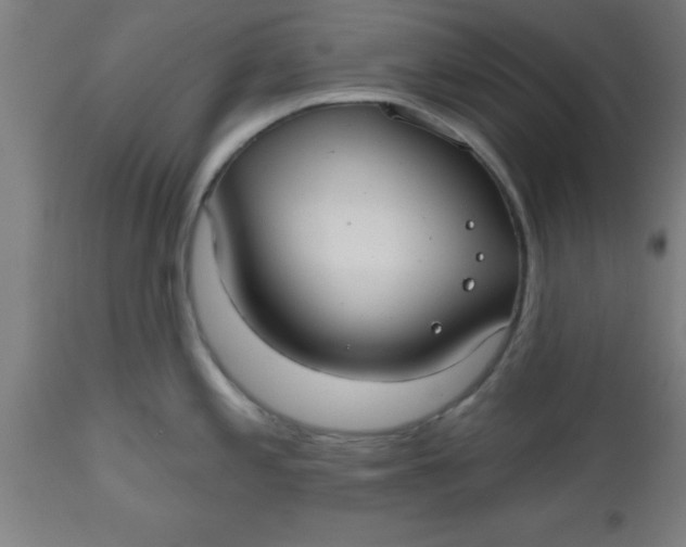 X0000112521197200909071326