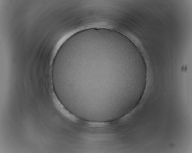 X0000112521200200909071326
