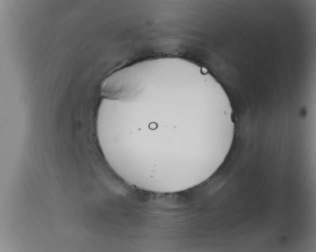 X0000112521201200909071325
