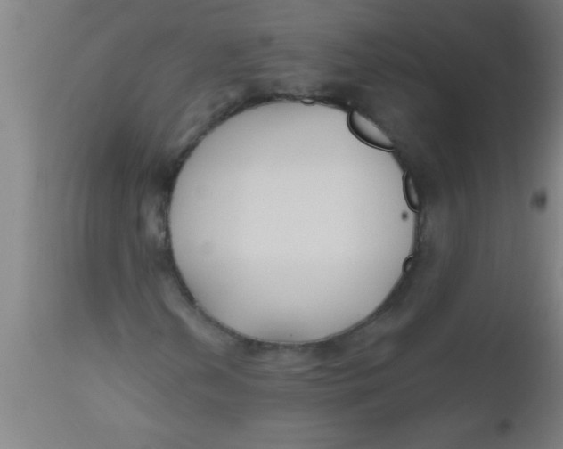 X0000112521202200909071325