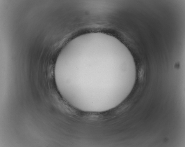 X0000112521204200909071325