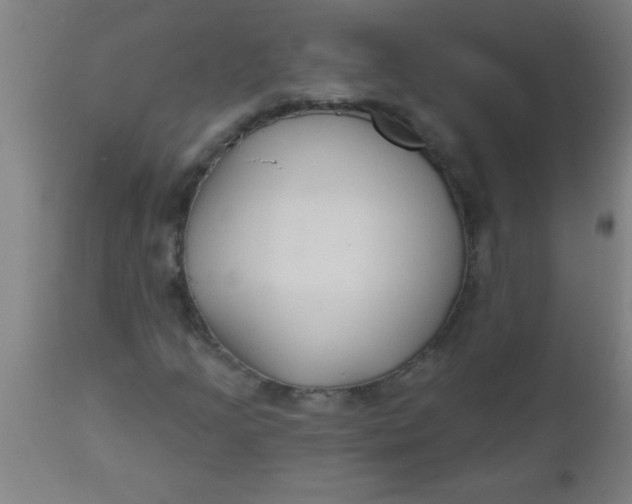 X0000112521205200909071325