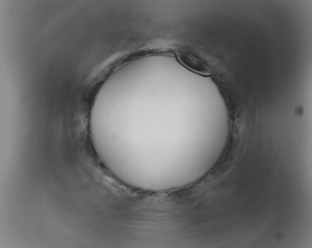 X0000112521206200909071325