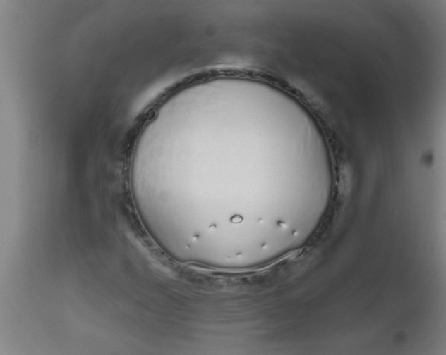 X0000112521208200909071325