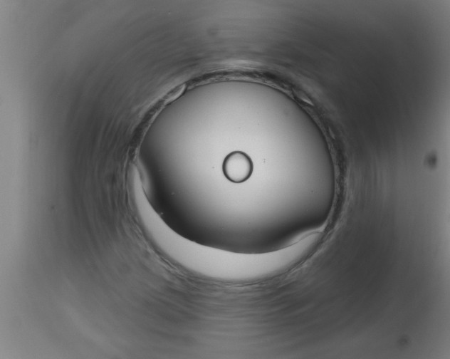 X0000112521209200909071325