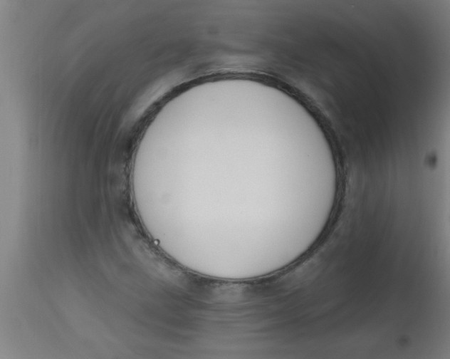 X0000112521211200909071325