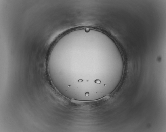 X0000112521214200909071325