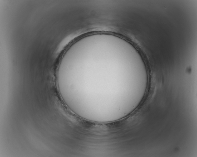 X0000112521215200909071325