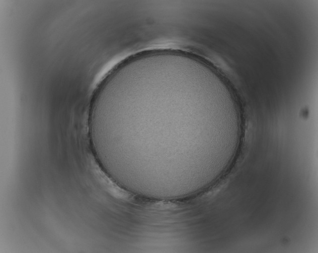 X0000112521216200909071325